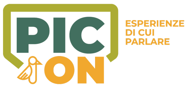 Pic-on Logo